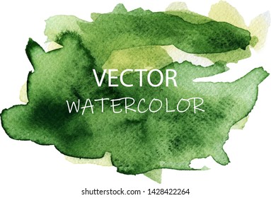Vector green watercolor background. Paint brush stroke. Hand painted texture.