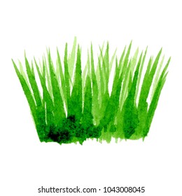 Vector green watercolor natural, organic, grass on white background. Hand drawn eco label, shape stain