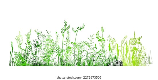 Acuarela verde vectorial natural, orgánica, bio, etiqueta ecológica y forma, hierba sobre fondo blanco. Mano tirada mancha.