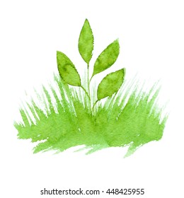 Vector green watercolor natural, organic, bio, eco label and shape, grass on white background. Hand drawn stain.