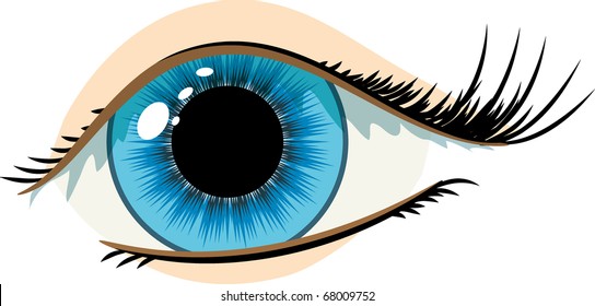 vector green woman's eye on a white background