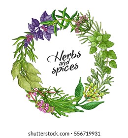 Vector greenery circle wreath template with spices and herbs. Decorative colorful composition with type design