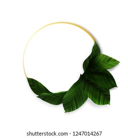 Vector Greenery Composition Design with Textured Leaves. Decorative Element on Circle Shape. Green Wreath Illustration