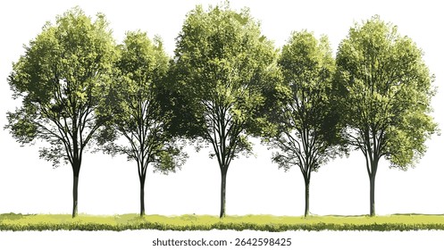 Vector greenery forest shapes trees cut out, transparent backgrounds, nature, eco friendly, outdoor, environmental, foliage, green leaves, nature landscape, tree silhouette