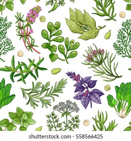 Vector greenery seamless pattern with spices and herbs. Decorative colorful composition on white background