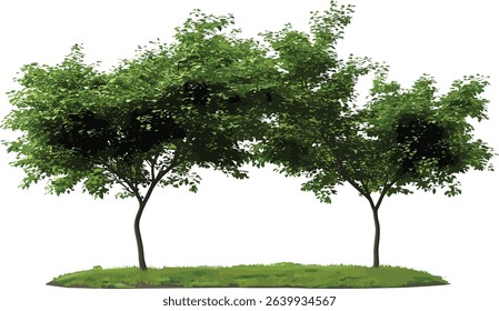 Vector greenery tree shape cut out png file, transparent background, eco friendly nature, leaf silhouette, plant design, nature clipart, tree illustration, nature vector