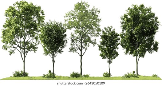 vector greenery, trees contour shapes, nature silhouettes, transparent backgrounds, natural landscape, eco friendly design, environmental vector art, green leaves, nature icons