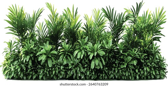 Vector greenery, tropical shrubs, cutout file, tropical plants, green foliage, nature, greenery background, jungle plants, tropical leaves, tropical cutout images, nature clipart