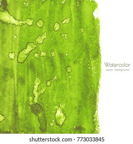 Vector greenery watercolor texture background with dry brush stains, strokes, spots isolated on white. Abstract artistic lime green grass frame, place for text. Acrylic hand painted gradient backdrop.