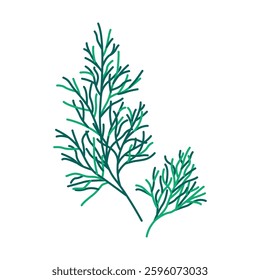 Vector greenery.herb; fresh bunch; summer; food; nature; grass; leaf; green; menu; plant; healthy; natural; organic; meal; ingredient; spice; branch; herbal; dill; twig;freshness; vegan; EPS 10