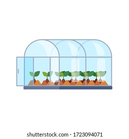 Vector greenhouse with different plants inside in flat style. Horticultural conservatory for growing vegetable, flowers