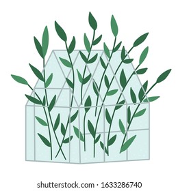 Vector greenhouse with green plants. Flat hot house illustration isolated on white background. Side view greenroom picture. Spring garden illustration