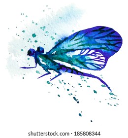 Vector greeting background with beautiful watercolor flying blue dragonfly