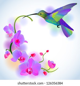 Vector greeting background with flitting humming-bird which brings gentle branch of beautiful pink orchids