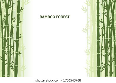 Tarjeta de felicitación vectorial con bambú sobre un fondo claro.	
