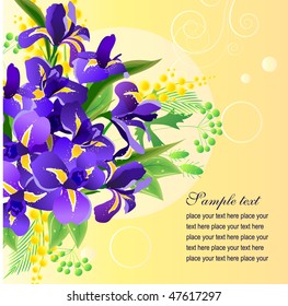 Vector greeting card with big bunch of  irises