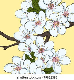 Vector greeting card with blossom cherry flowers.