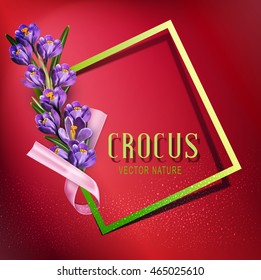 Vector greeting card with blue crocuses , frame, pink ribbon and place for text on a purple background