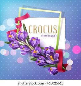 Vector greeting card with blue crocuses , frame, red ribbon and place for text on a blue background