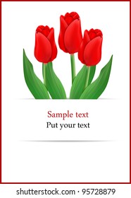 vector greeting card with bouquet of red tulips, may be used as a Women's Day backdrop