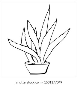 Vector greeting card with cactus. Cartoon monochrome isolated objects on a white background. Linear hand drawn illustration.