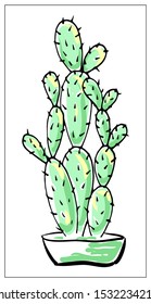 Vector greeting card with cactus. Cartoon colored isolated objects on a white background. Multicolored hand drawn illustration.
