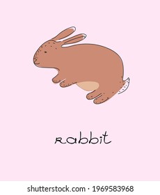 vector greeting card with a cute rabbit