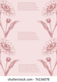 vector greeting card with daisies