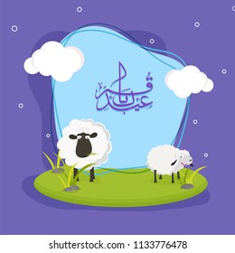 Vector greeting card design with illustration of sheeps and Arabic calligraphy of Eid Al Adha text on blue frame for celebration of Muslim community festival.