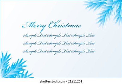 Vector. Greeting card with fir tree branch