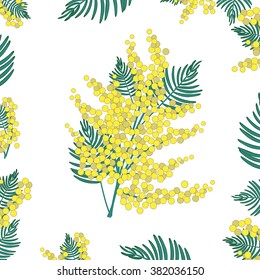 Vector greeting card with flowers. Mimosa, yellow flowers, spring