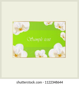 Vector greeting card with flowers on a green background and place for text