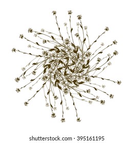 Vector greeting card with flowers for your design 
