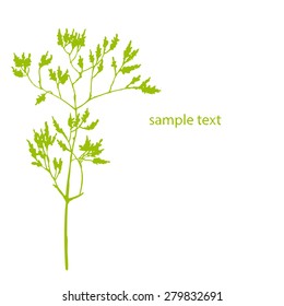 Vector greeting card with a green twig for your design