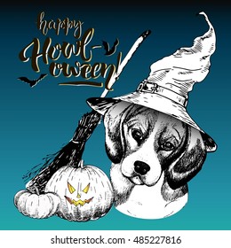 Vector greeting card for Halloween. Beagle dog wearing the witch hat. Broom and pumpkin lanterns. Decorated with lettering Happy Howl-oween and bats. Hand drawn.