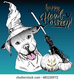 Vector greeting card for Halloween.English pitbull dog wearing the witch hat. Broom and pumpkin lanterns. Decorated with lettering Happy Howl-oween and bats. Hand drawn.