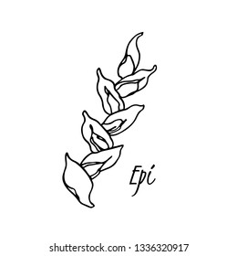 Vector greeting card with hand drawn traditional French bread epi. Ink drawing, graphic style. Beautiful food design elements.