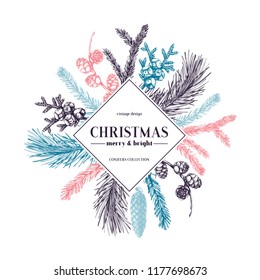 Vector greeting card or invitation design  with hand drawn conifers, holly berries, mistletoe, cones and birds. Holiday decor elements. Vintage Christmas or New Year illustration. Winter template