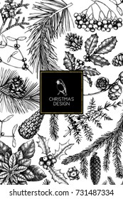 Vector greeting card or invitation design  with hand drawn conifers, holly berries, mistletoe, cones, mountain ash. Holiday decor elements. Vintage Christmas or New Year illustration. Winter template