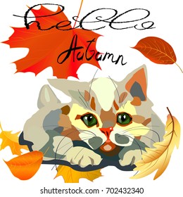 Vector greeting card with kitten and autumn leaves. Letters by hand. Autumn illustration