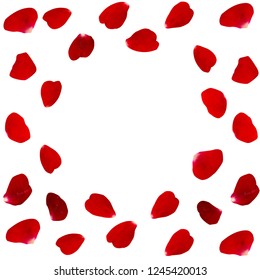 Vector greeting card on a festive theme. Flying scarlet rose petals, there is free space for photos or text.