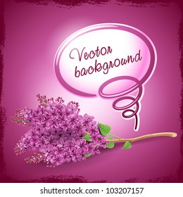 Vector greeting card with a pink flower lilac and place for the congratulatory text. EPS 10.