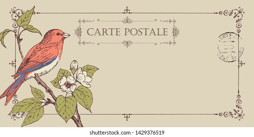 Vector greeting card or retro postcard with pink hand-drawn bird on branch of flowering tree. Romantic vector card in vintage style with place for text and postmark in frame with curls