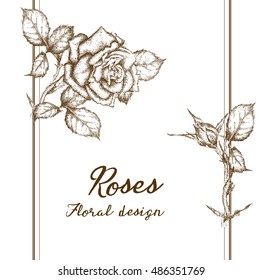 Vector greeting card with roses, can be used as invitation card for wedding, birthday and other holiday and summer background