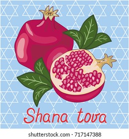 vector of greeting card Shana tova with pomegranate