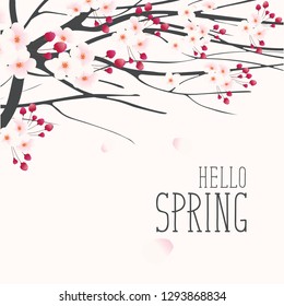 Vector greeting card with a spring landscape with pink buds and flowers on the branches of a blooming tree and inscription Hello Spring
