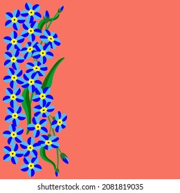 Vector - greeting card template.
Floral pattern, forget-me-not flowers and leaves.
