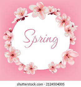 Vector greeting card template with flowers blossoms. Cherry flower spring banner with blooming sakura Hanami on the pink background.