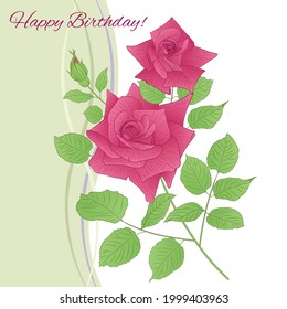 Plantilla de tarjeta de felicitación de vectores. Ilustración con hermosas rosas y hojas verdes.