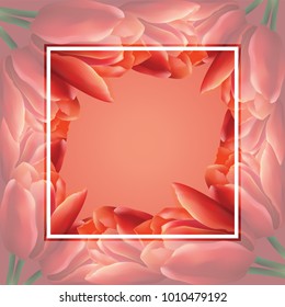 Vector greeting card template with red tulip flowers and translucent square frame. Realistic meshes petals. For mother's day, women's day or st.valentine's day design.